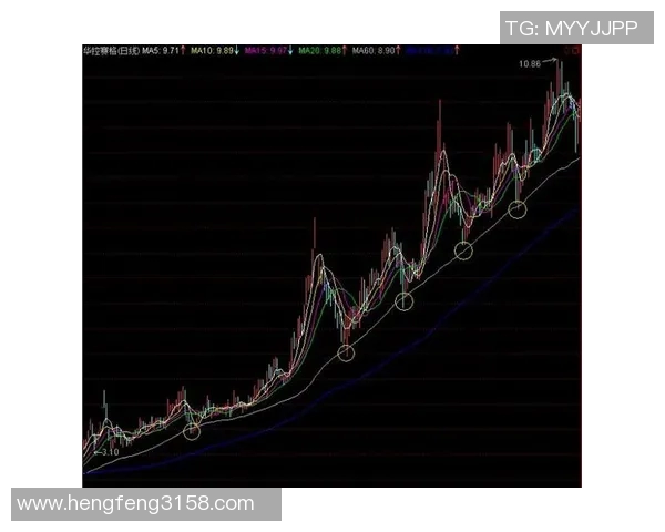 深入分析重庆羽毛球队中路突破战术的独特魅力与实战应用